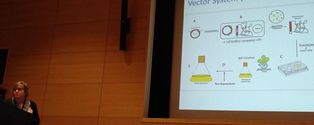A woman, Malin Bäckström, giving a powerpoint presentation about PPS. Photo