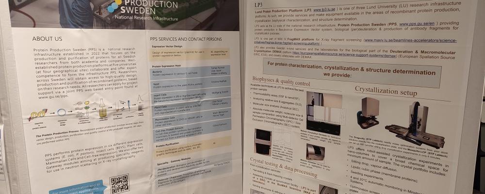 PPS and LP3 posters at the MAX IV user meeting 2025. Photo