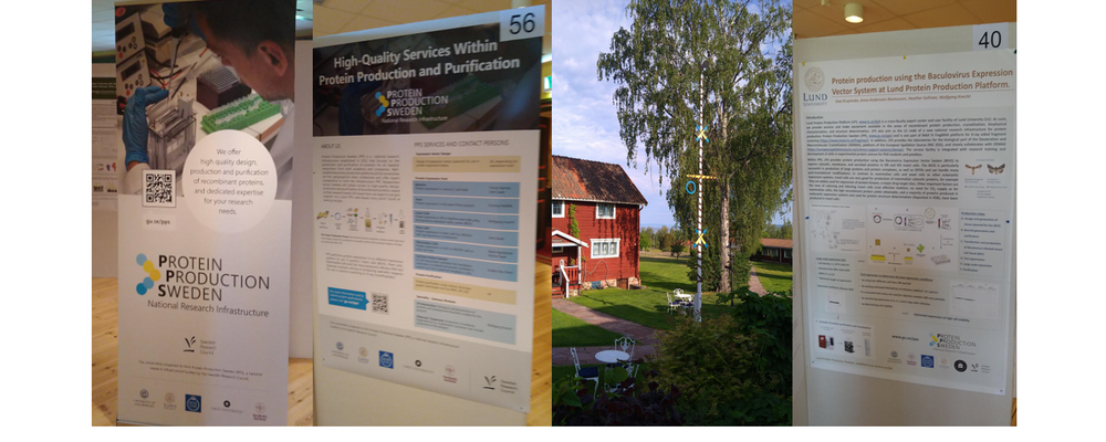 Posters presented by LP3 and PPS at the SWEPROT meeting in Tällberg 2025. Photos.