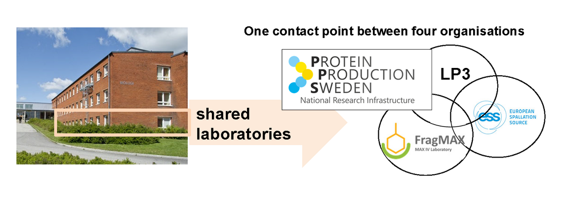 Biology house A of Lund University is a meeting point of 4 platforms from MAX IV laboratory, the European Spallation Source ERIC and Lund Unviversity, as well as the national research infrastructure PPS.
