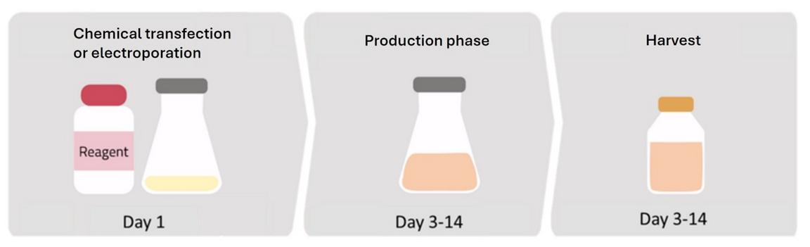 Mammalian Cells